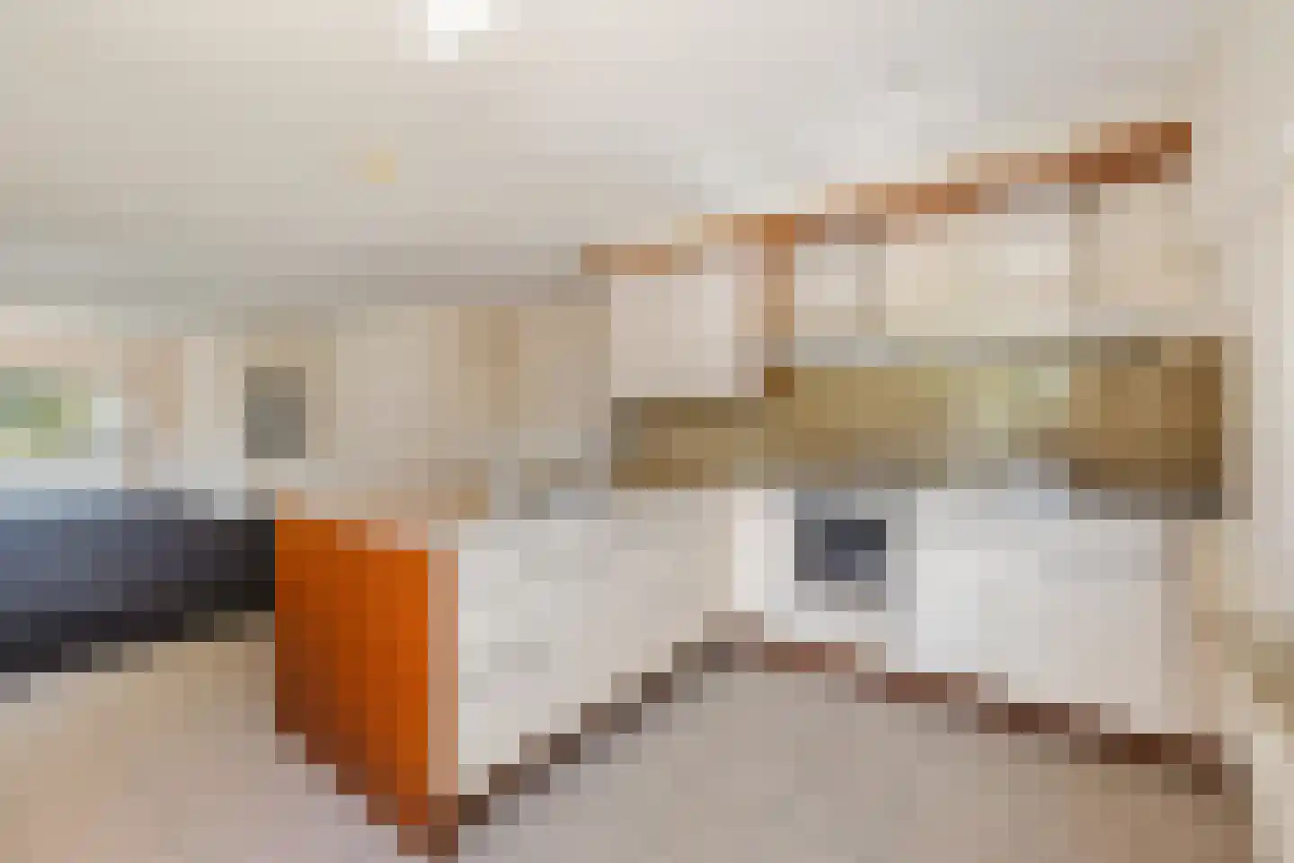 Peinderwei 41 De Tike thumbnail 24