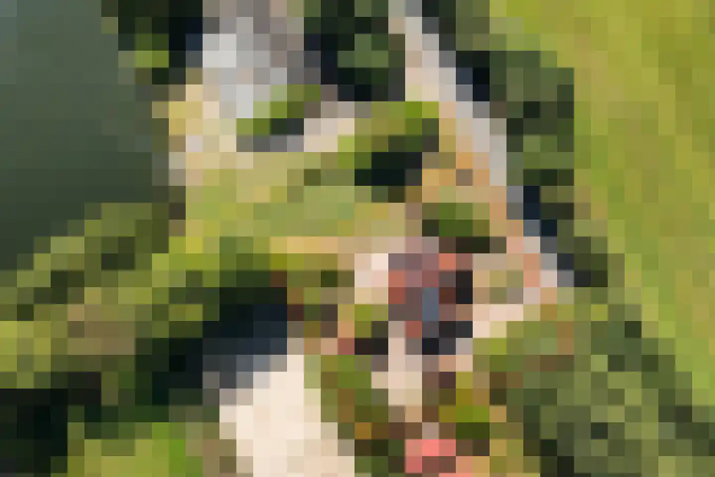 Peinderwei 41 De Tike thumbnail 4