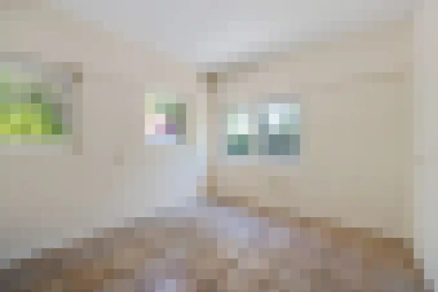 Peinderwei 41 De Tike thumbnail 41
