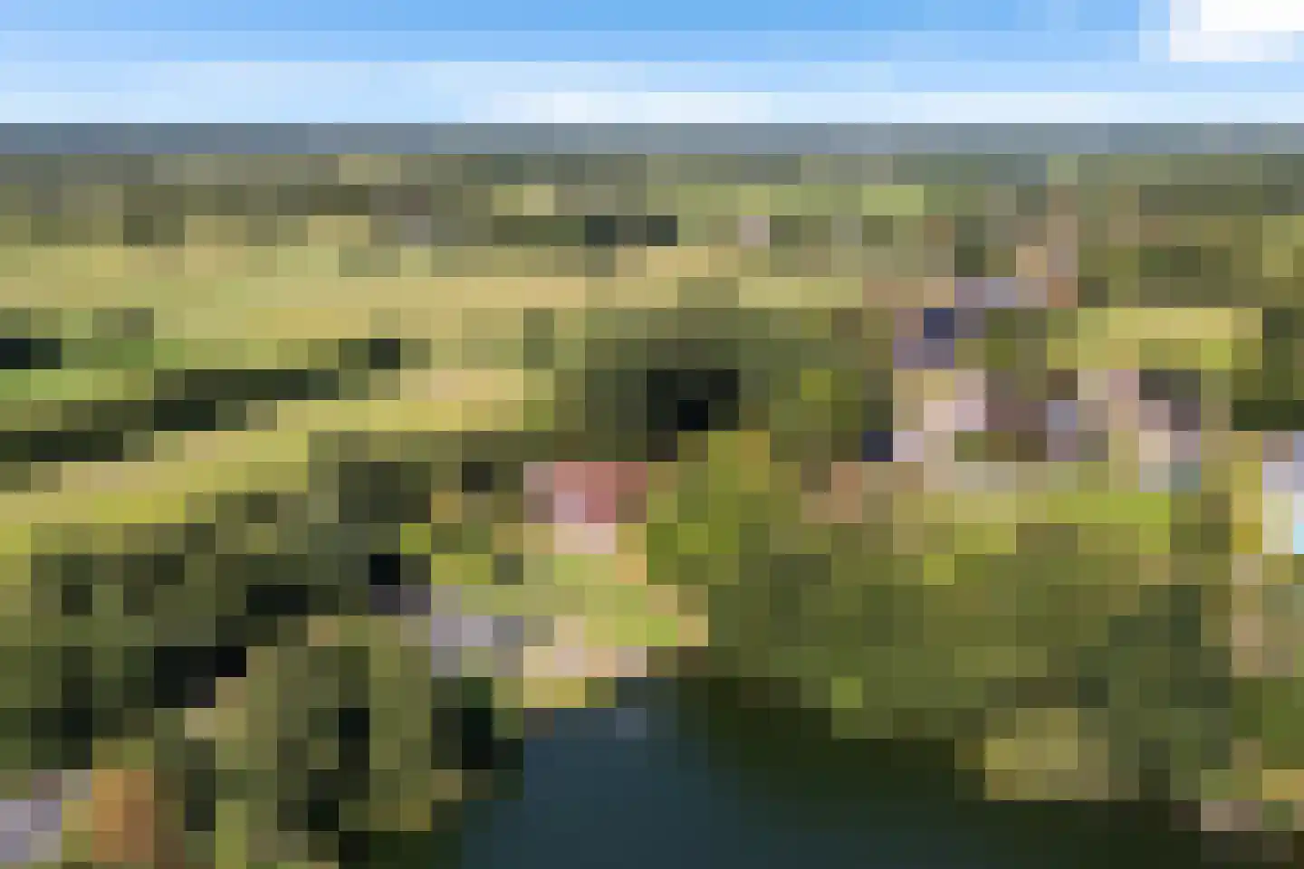 Peinderwei 41 De Tike thumbnail 5