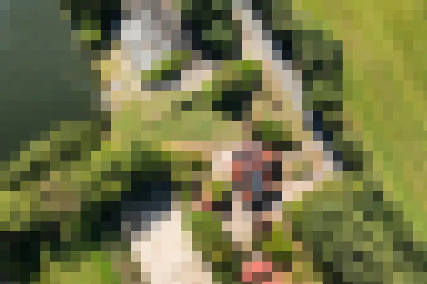 Peinderwei 41 De Tike thumbnail 7