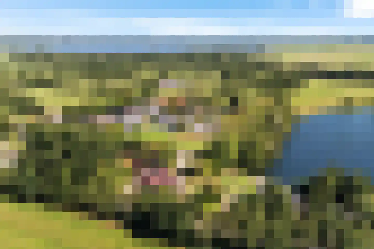 Peinderwei 41 De Tike thumbnail 9