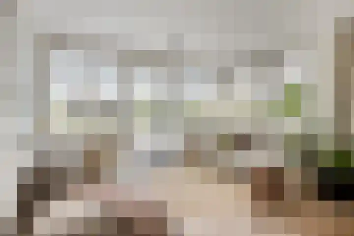 Peitzenberg 2 Simpelveld thumbnail 11