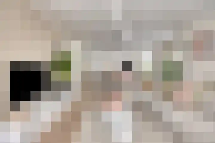 Peitzenberg 2 Simpelveld thumbnail 12