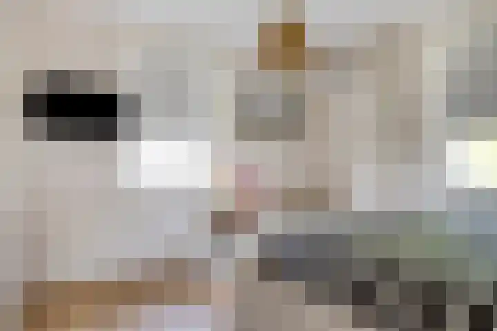Peitzenberg 2 Simpelveld thumbnail 16