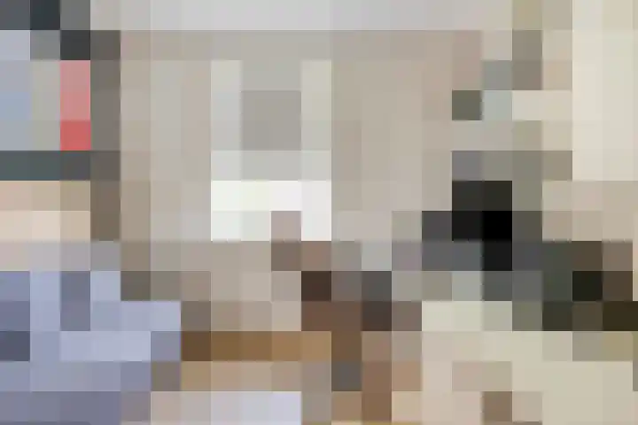 Peitzenberg 2 Simpelveld thumbnail 17