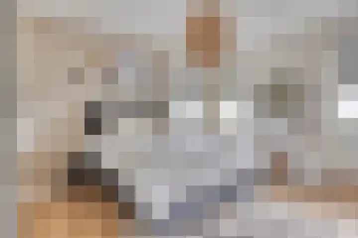 Peitzenberg 2 Simpelveld thumbnail 20