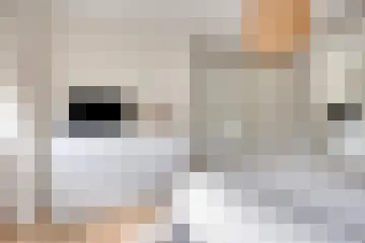 Peitzenberg 2 Simpelveld thumbnail 21