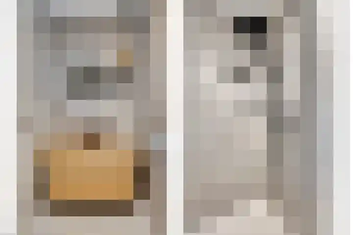Peitzenberg 2 Simpelveld thumbnail 26