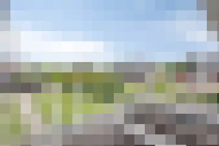 Peitzenberg 2 Simpelveld thumbnail 27