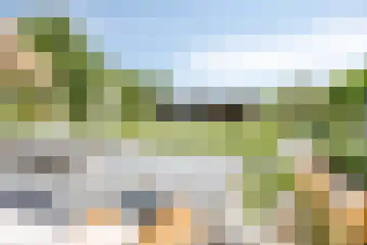 Peitzenberg 2 Simpelveld thumbnail 29