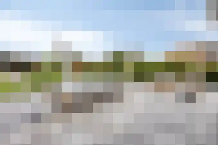 Peitzenberg 2 Simpelveld thumbnail 30