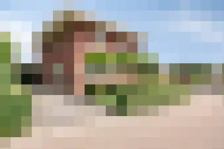 Peitzenberg 2 Simpelveld thumbnail 36