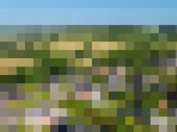 Peitzenberg 2 Simpelveld thumbnail 40