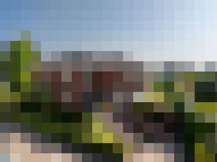 Peitzenberg 2 Simpelveld thumbnail 48