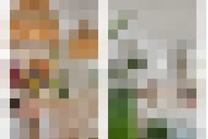 Peitzenberg 2 Simpelveld thumbnail 9