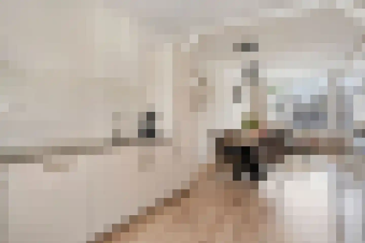 Peizerdiep 37 Pijnacker thumbnail 12