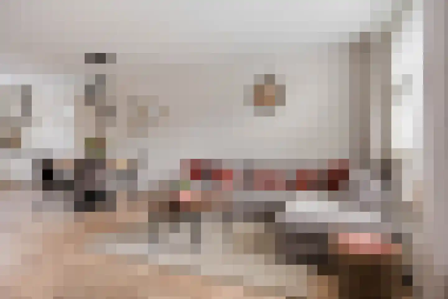 Peizerdiep 37 Pijnacker thumbnail 8