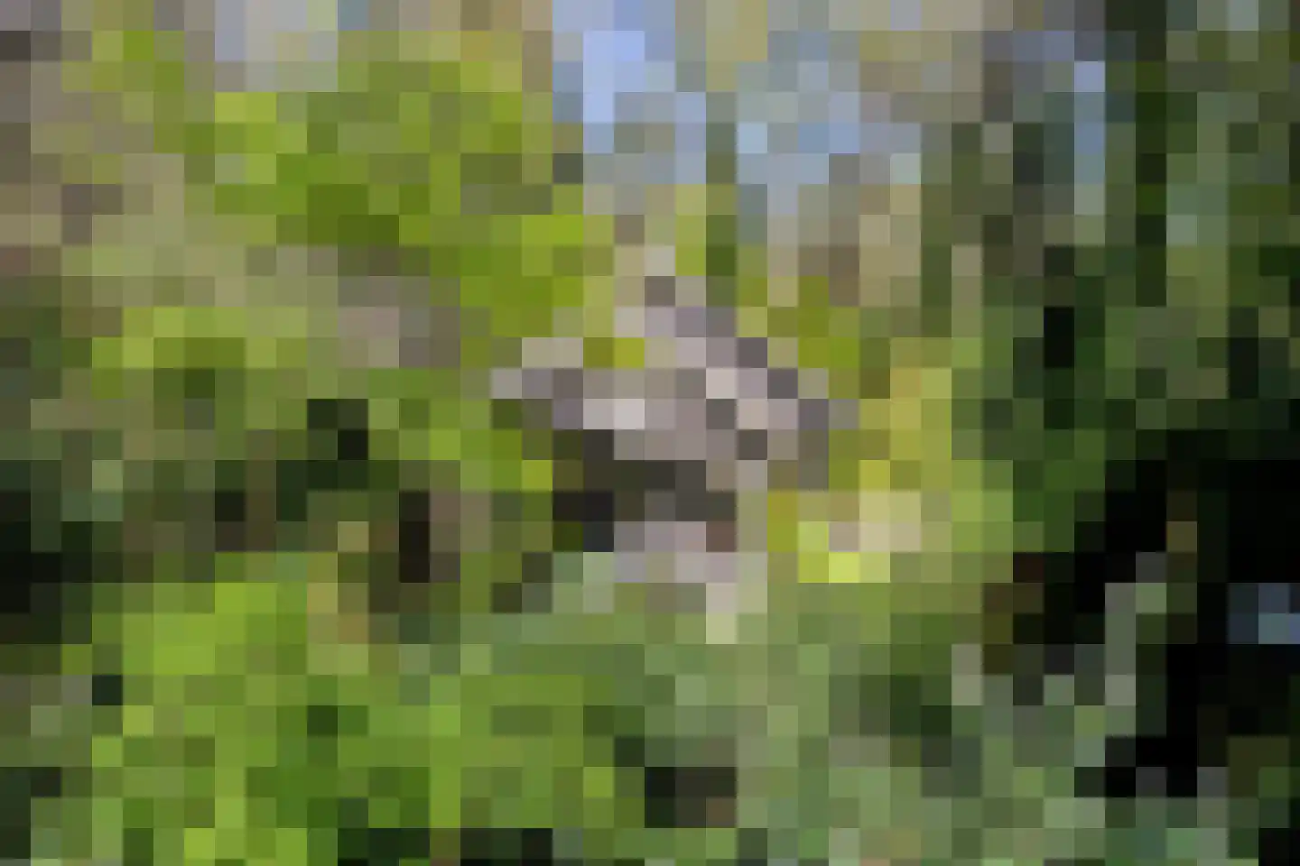 Peizerpad 16 Norg thumbnail 11