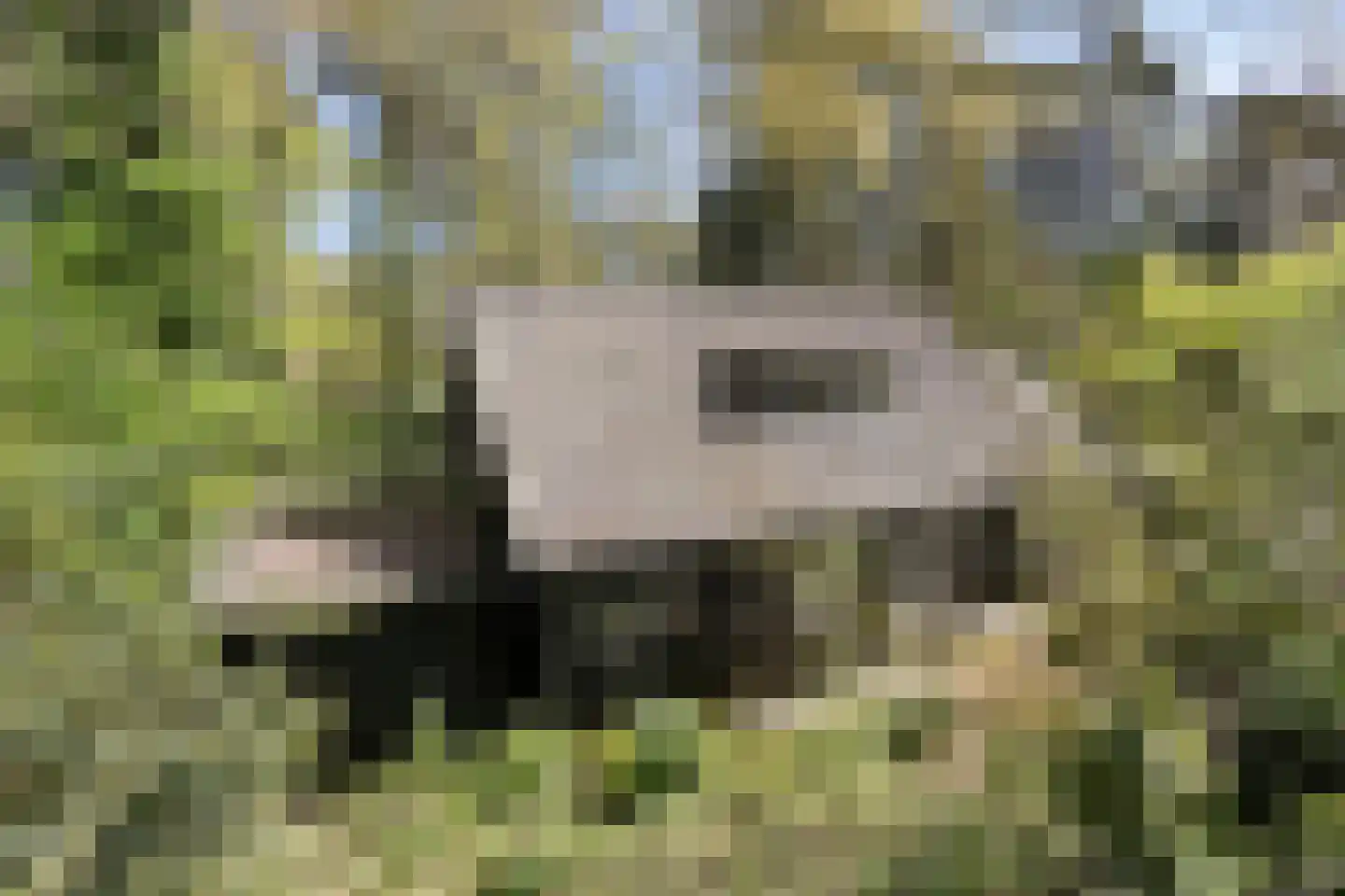 Peizerpad 16 Norg thumbnail 12