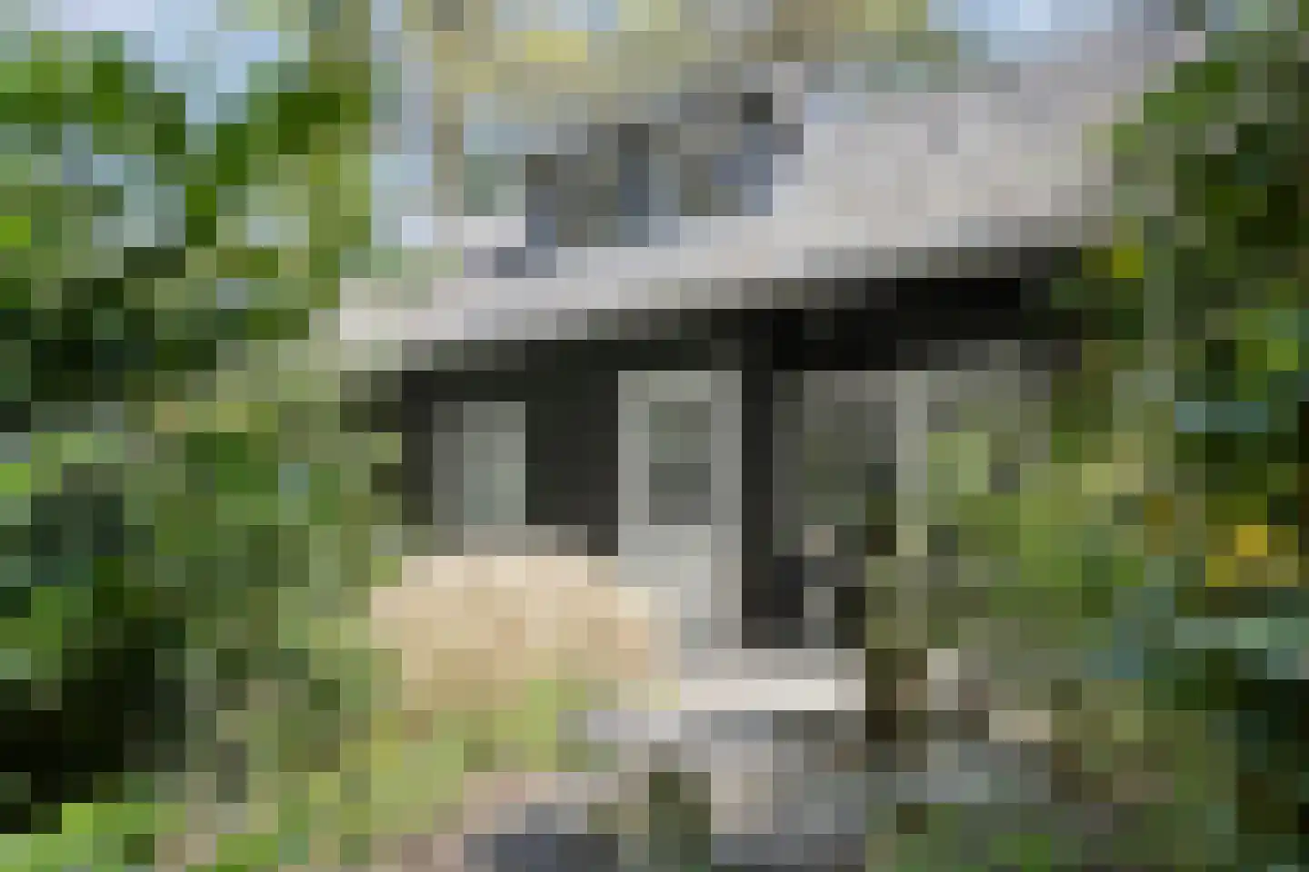 Peizerpad 16 Norg thumbnail 13