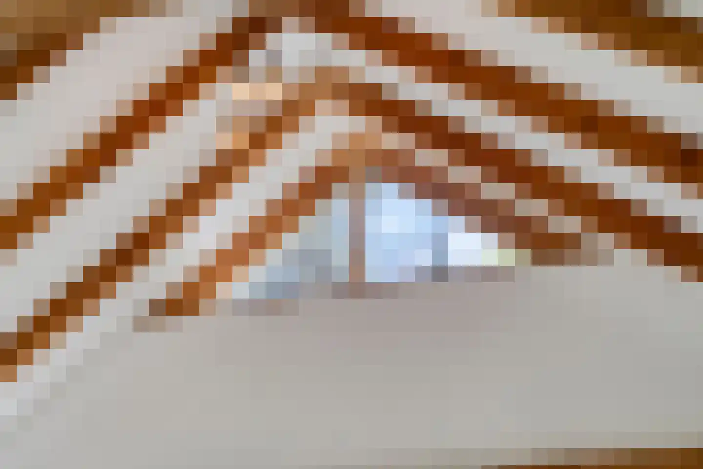 Peizerpad 16 Norg thumbnail 18