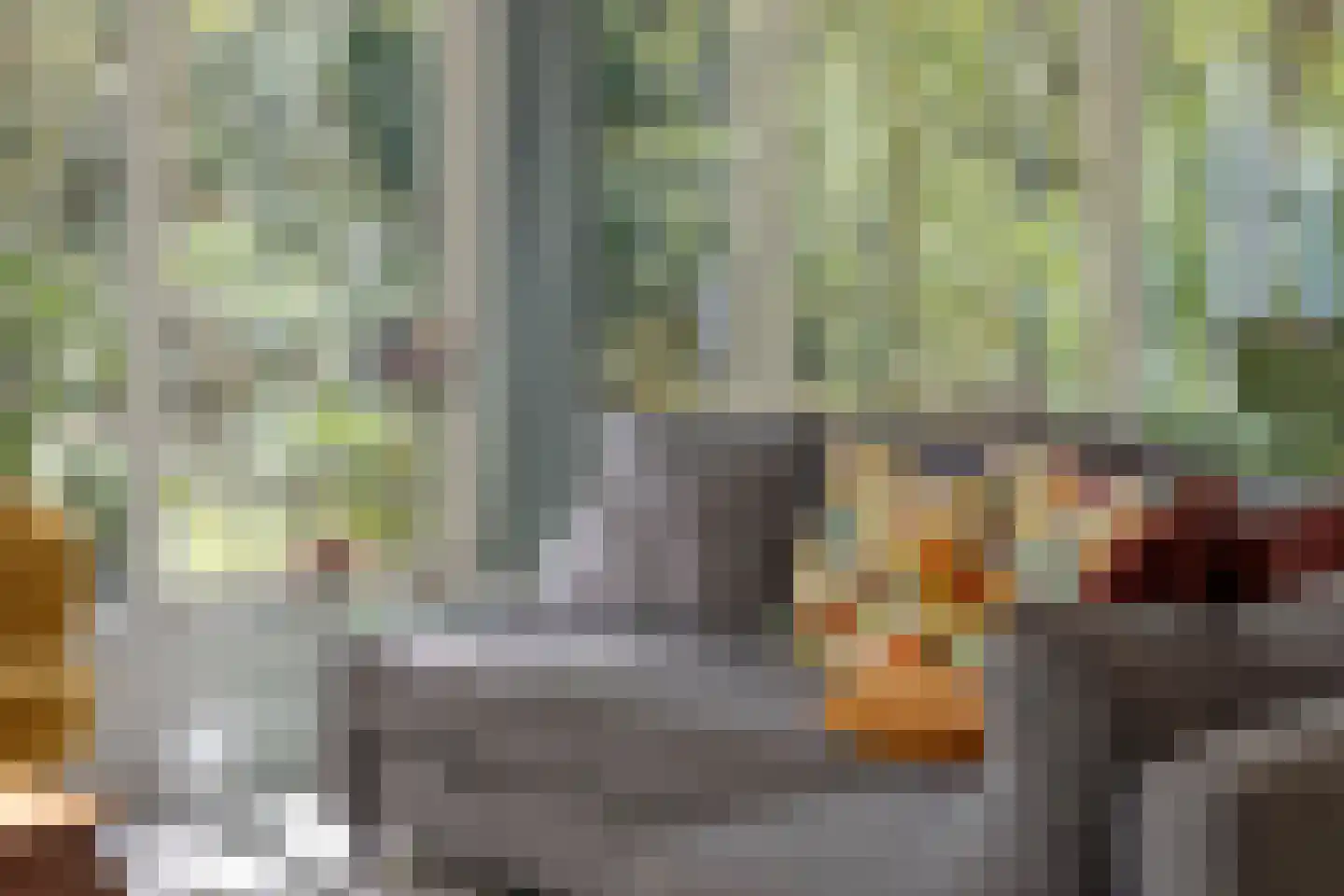 Peizerpad 16 Norg thumbnail 21