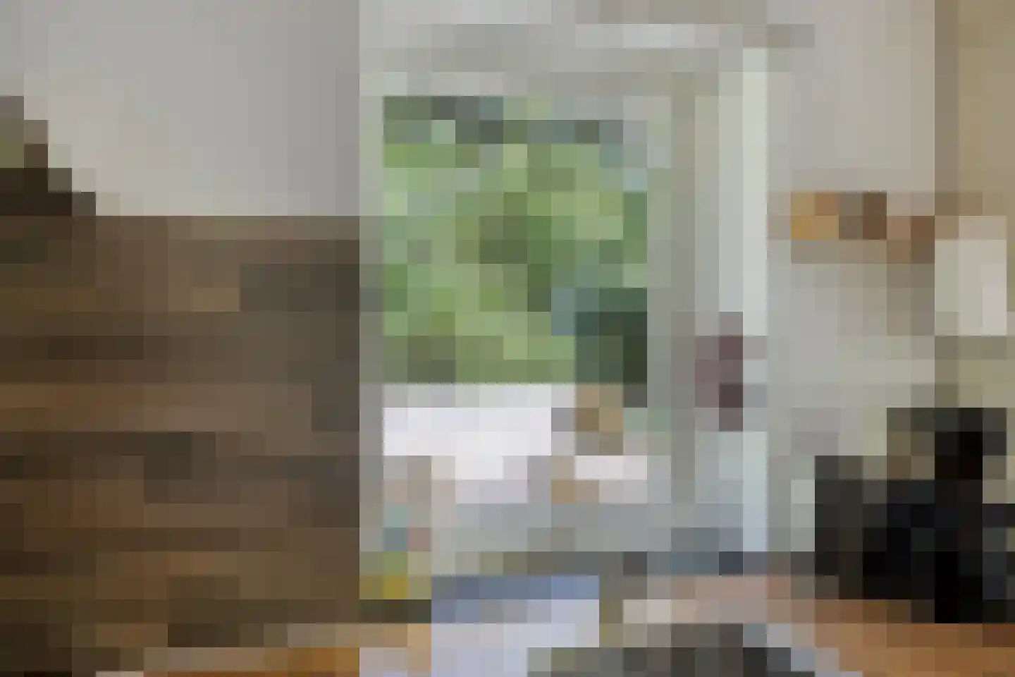 Peizerpad 16 Norg thumbnail 28
