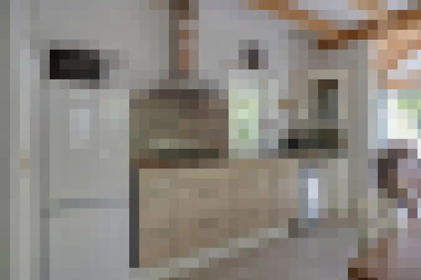 Peizerpad 16 Norg thumbnail 29