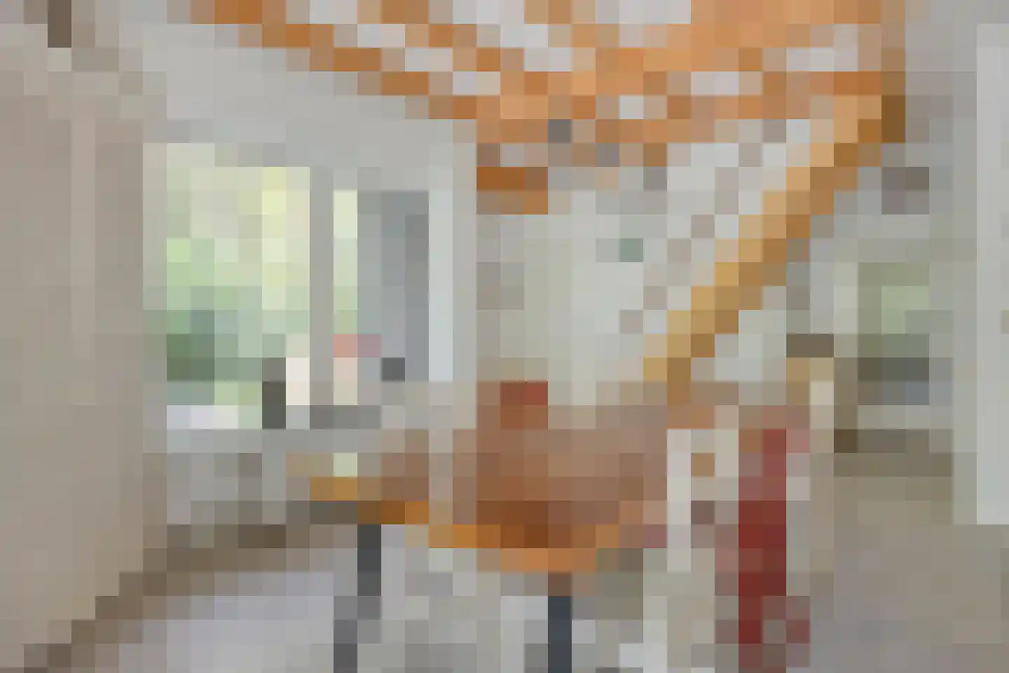 Peizerpad 16 Norg thumbnail 30