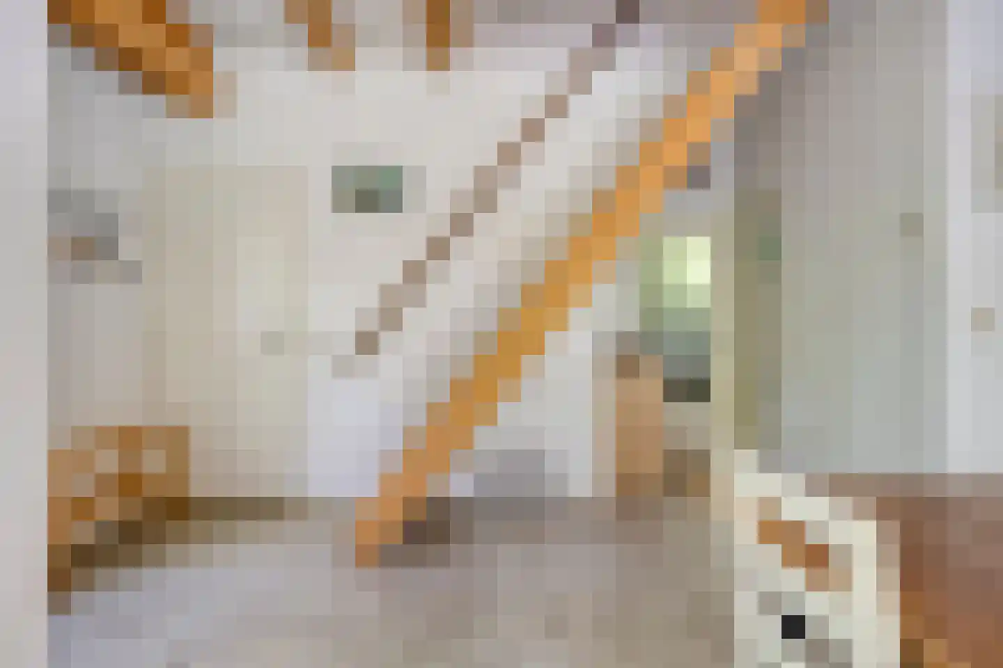 Peizerpad 16 Norg thumbnail 31