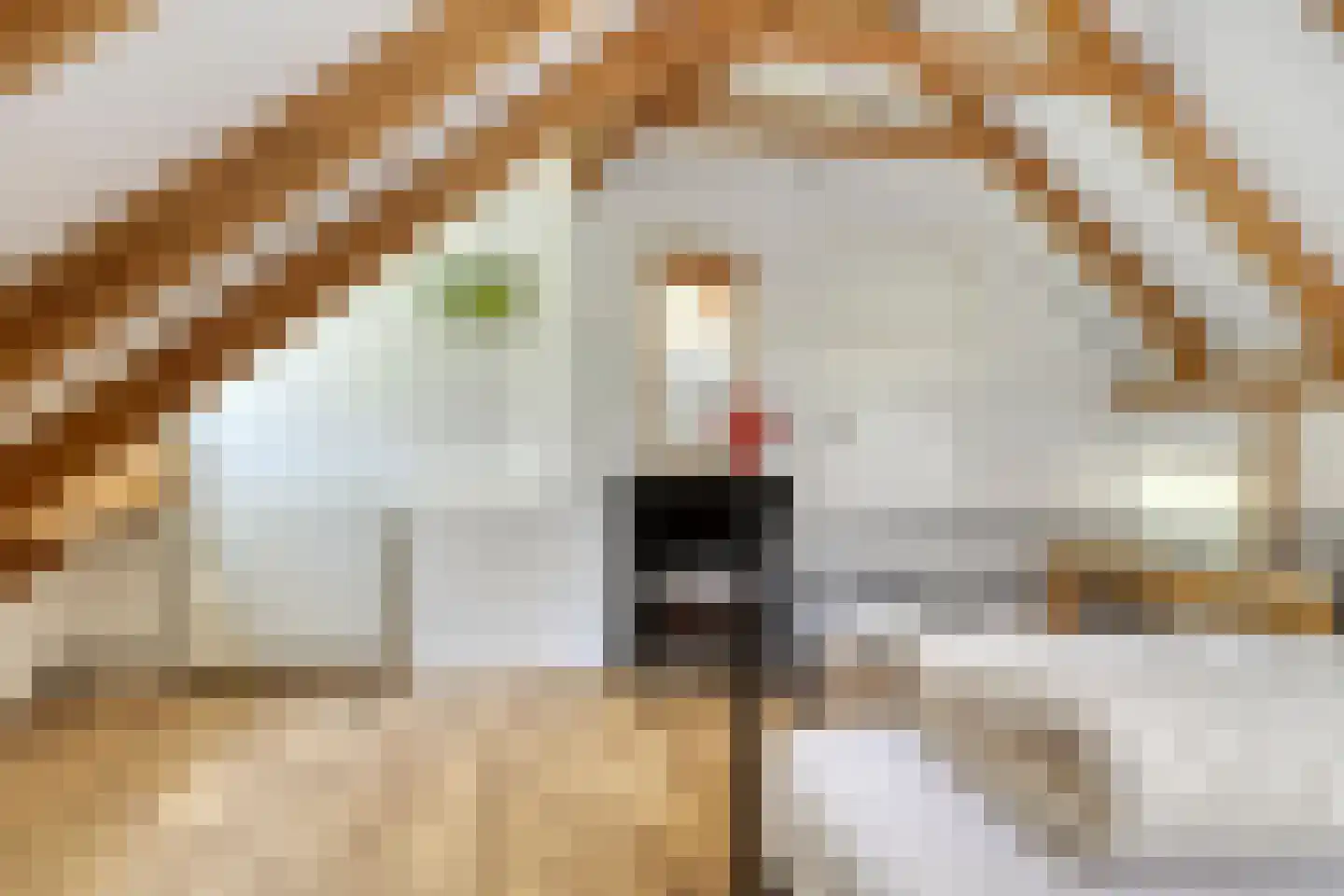 Peizerpad 16 Norg thumbnail 42