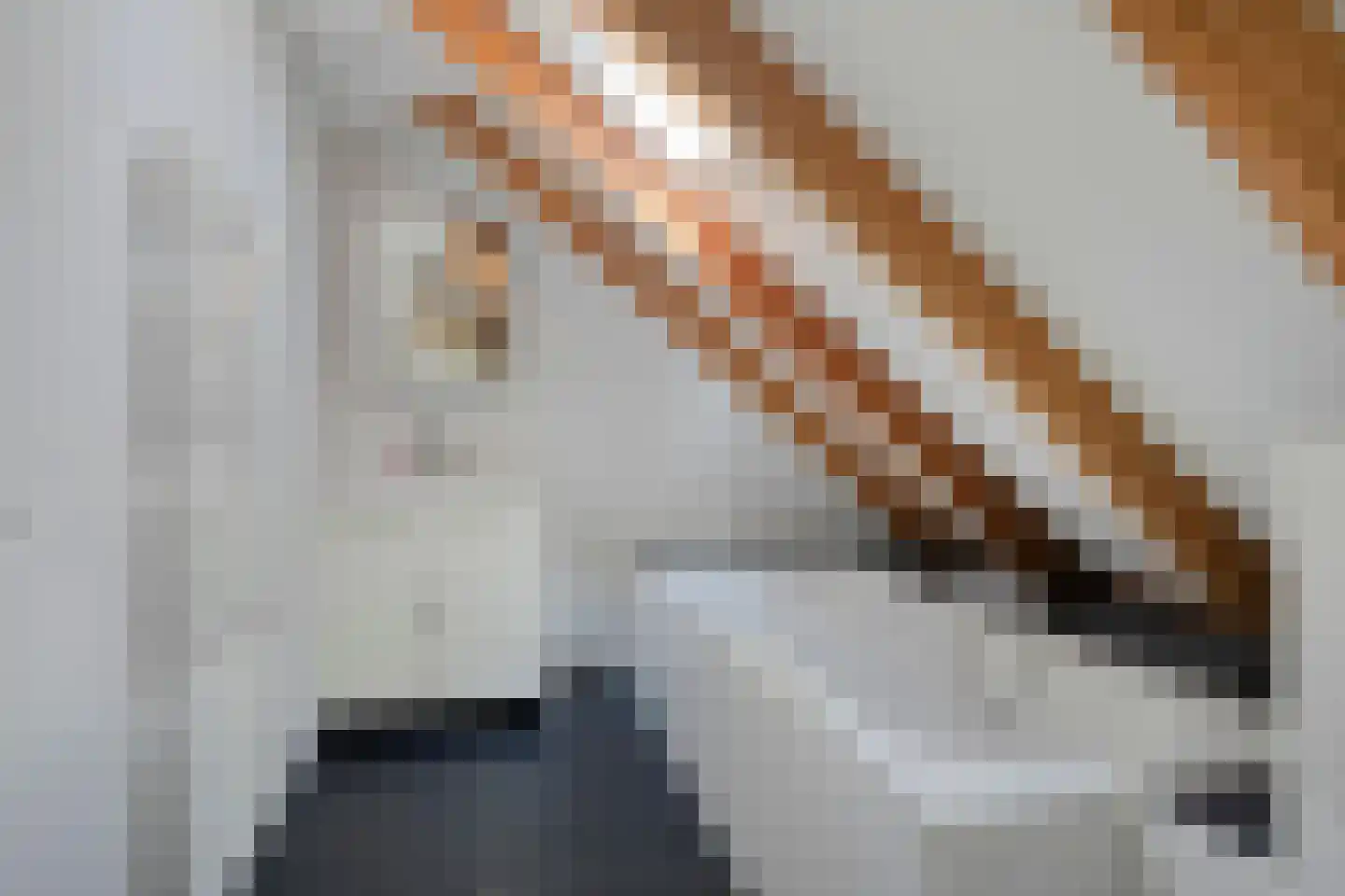 Peizerpad 16 Norg thumbnail 46