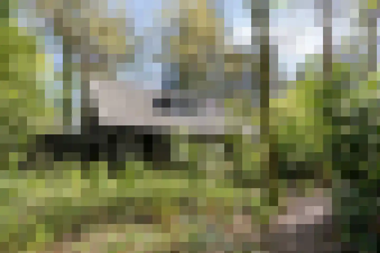 Peizerpad 16 Norg thumbnail 50