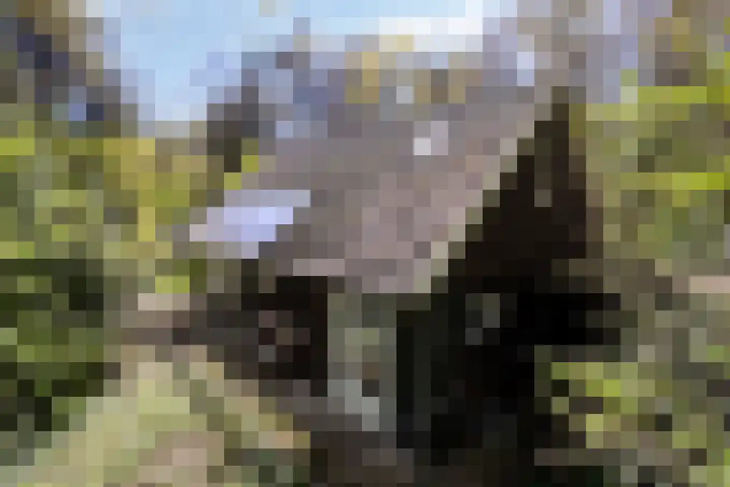 Peizerpad 16 Norg thumbnail 51