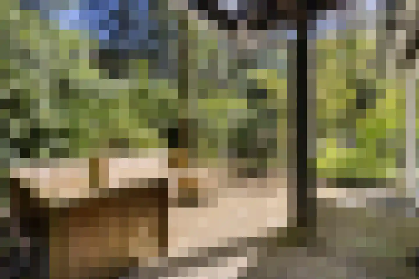 Peizerpad 16 Norg thumbnail 53