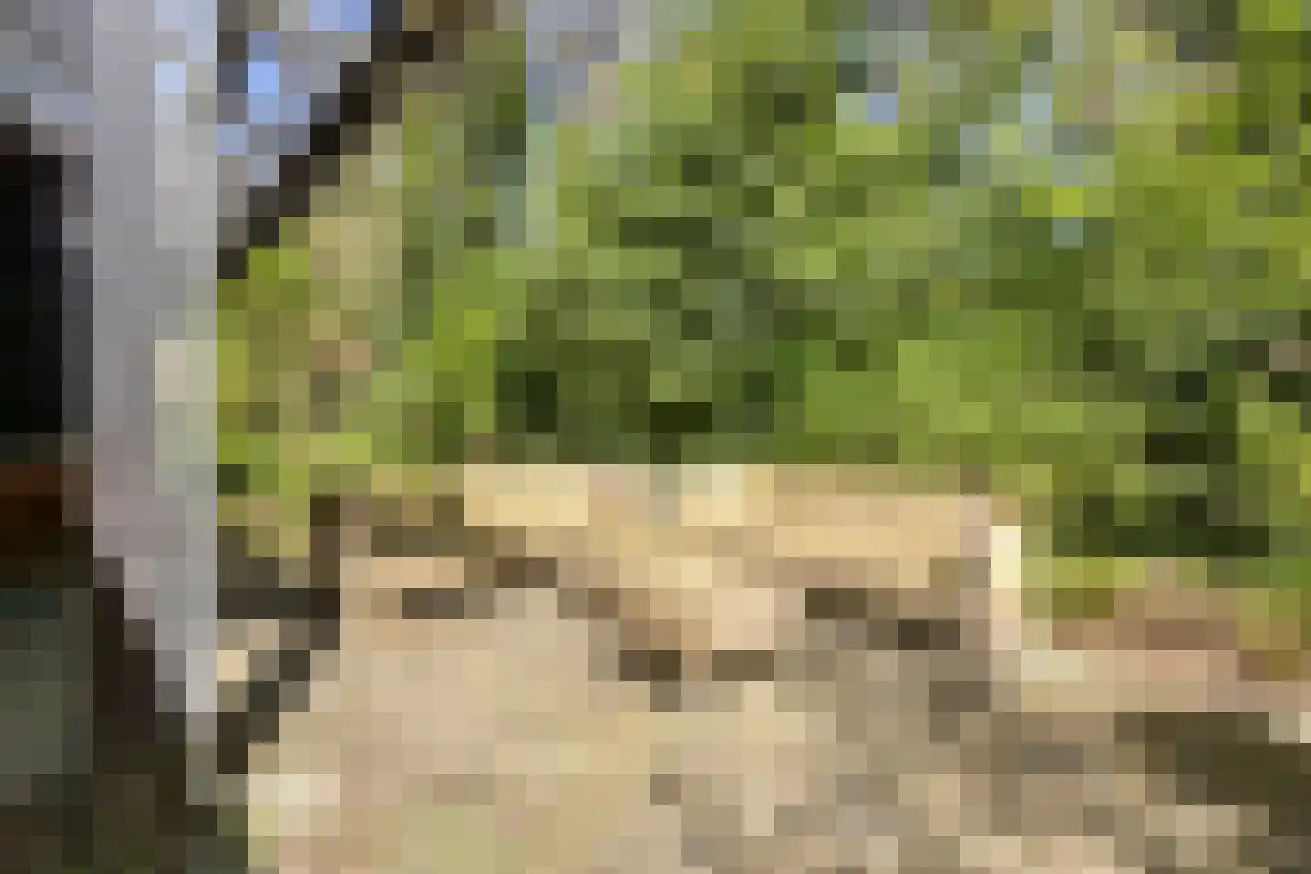 Peizerpad 16 Norg thumbnail 54