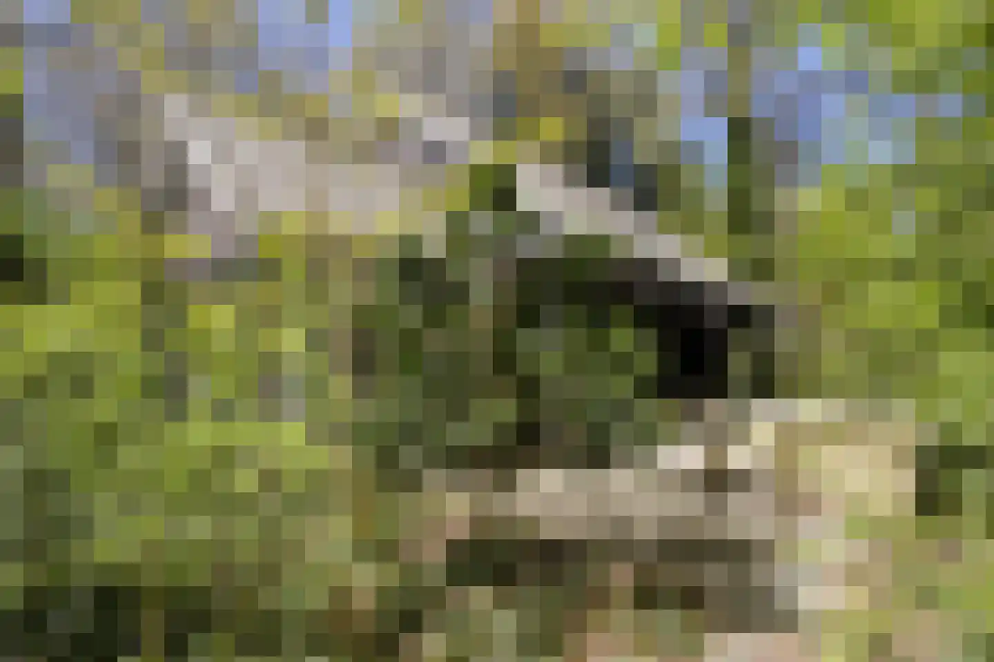 Peizerpad 16 Norg thumbnail 55