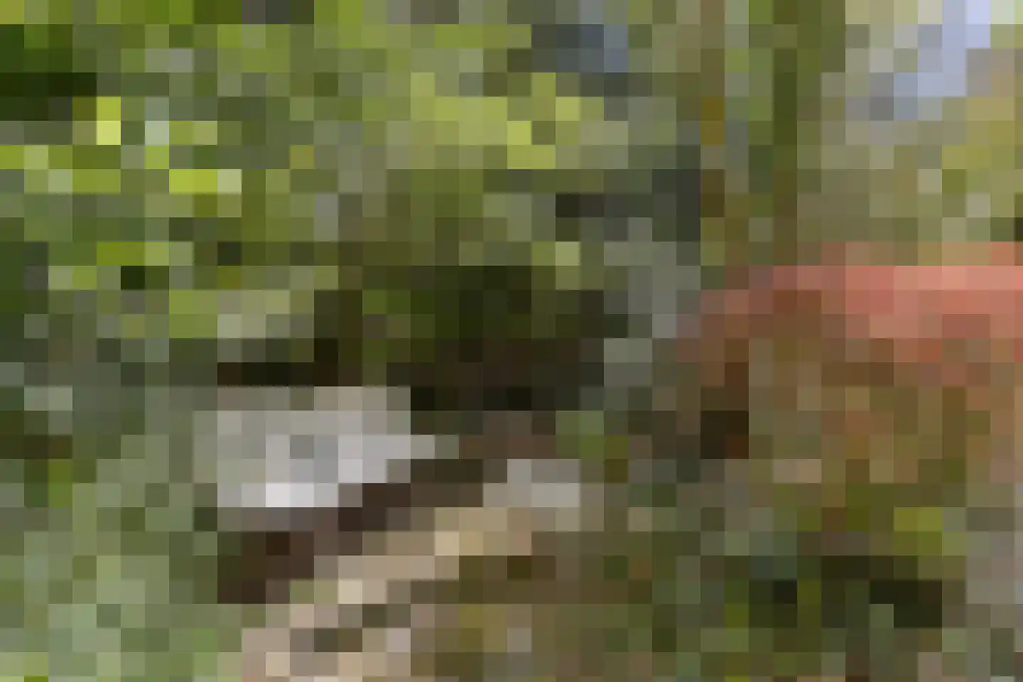 Peizerpad 16 Norg thumbnail 56