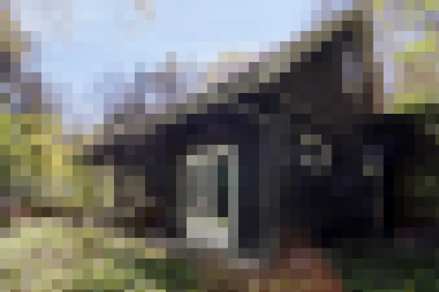 Peizerpad 16 Norg thumbnail 58