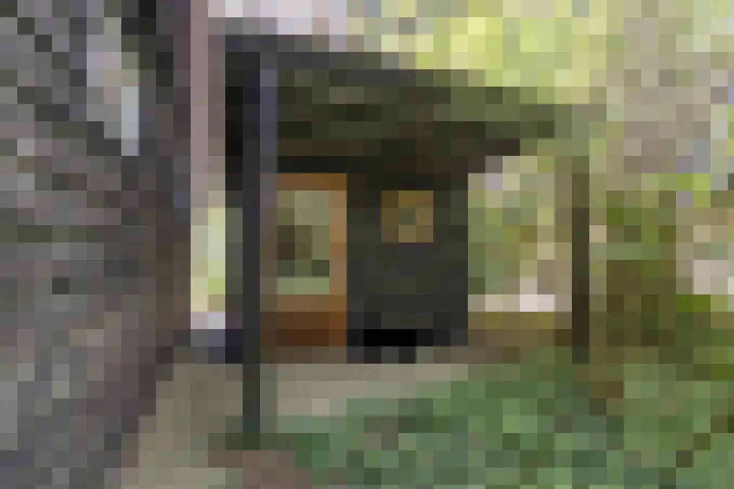 Peizerpad 16 Norg thumbnail 59