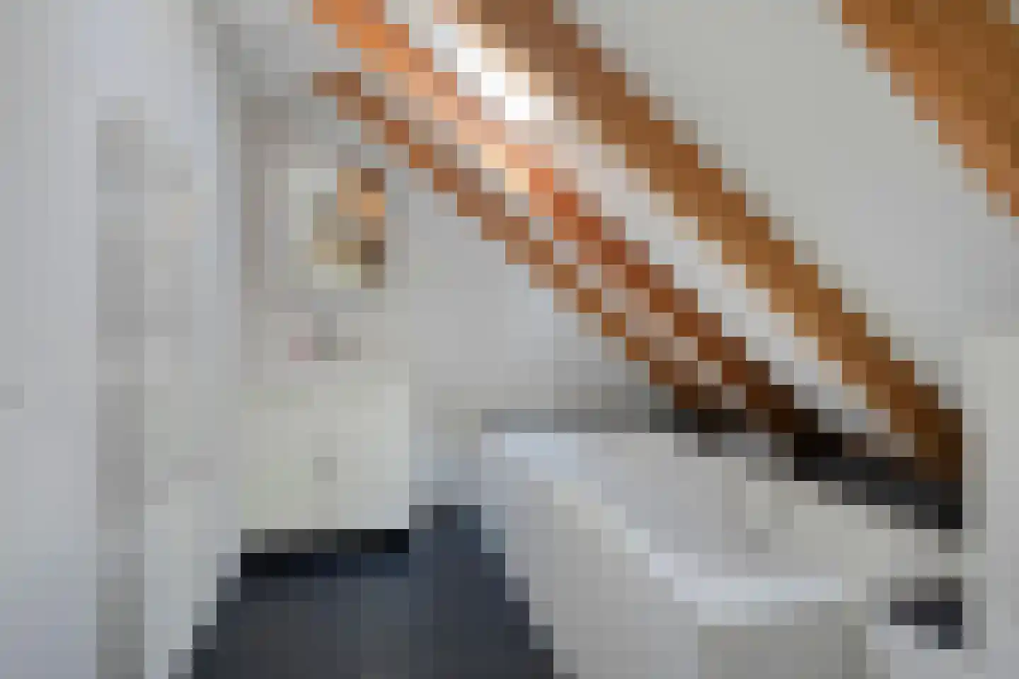 Peizerpad 16 Norg thumbnail 6