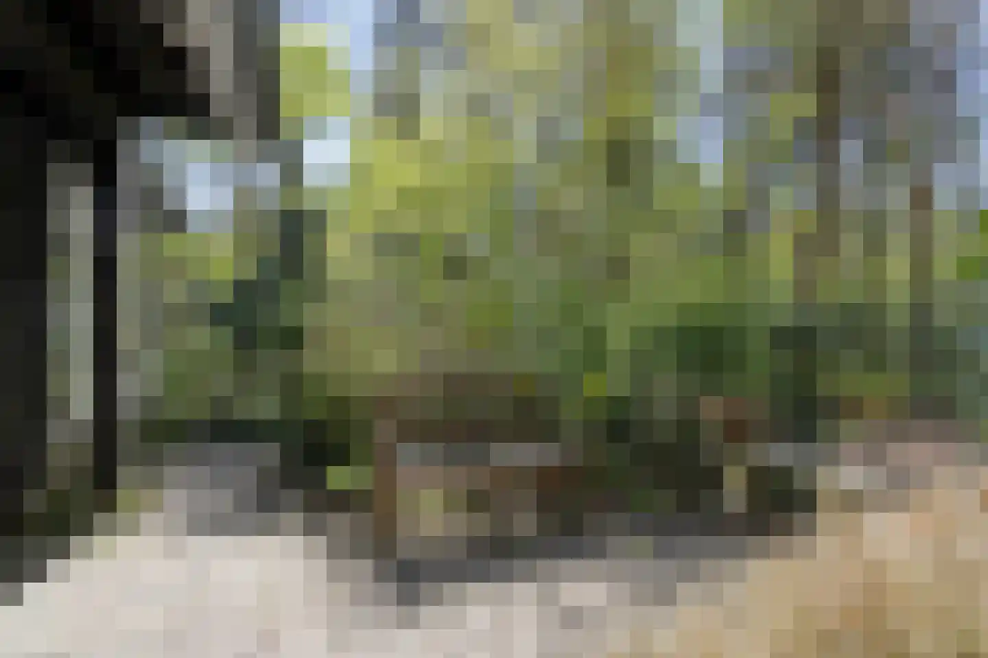 Peizerpad 16 Norg thumbnail 60