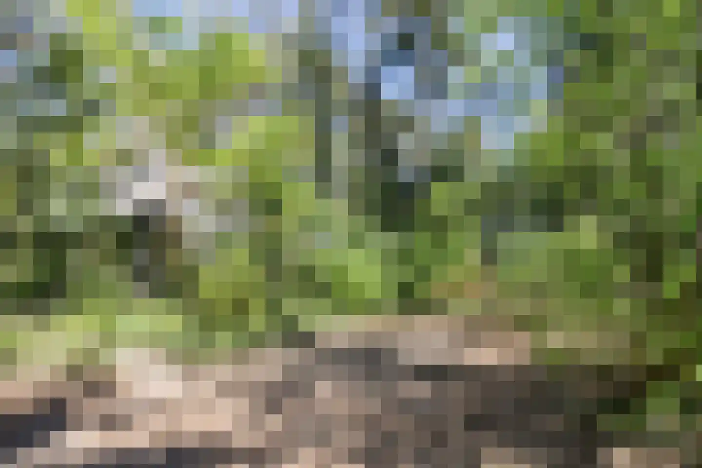 Peizerpad 16 Norg thumbnail 62