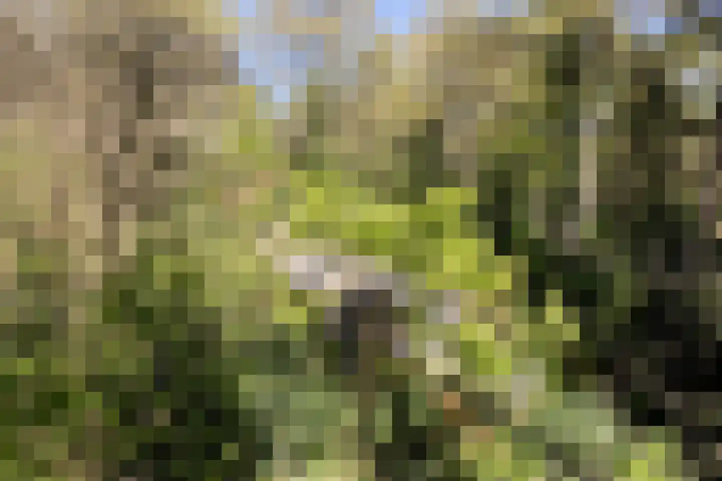 Peizerpad 16 Norg thumbnail 63