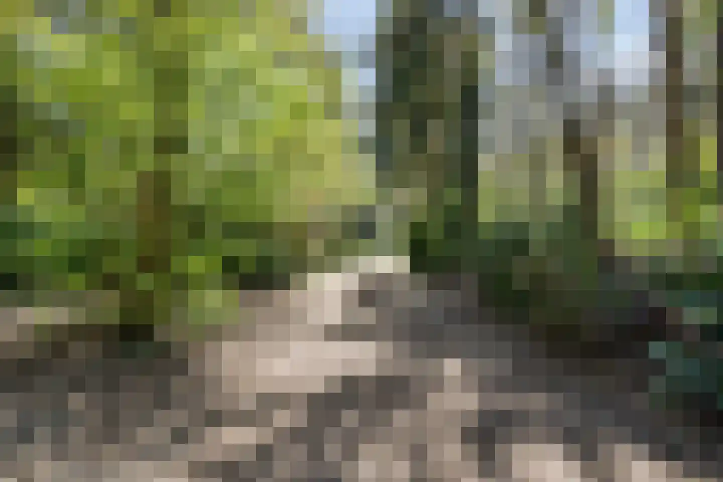Peizerpad 16 Norg thumbnail 66