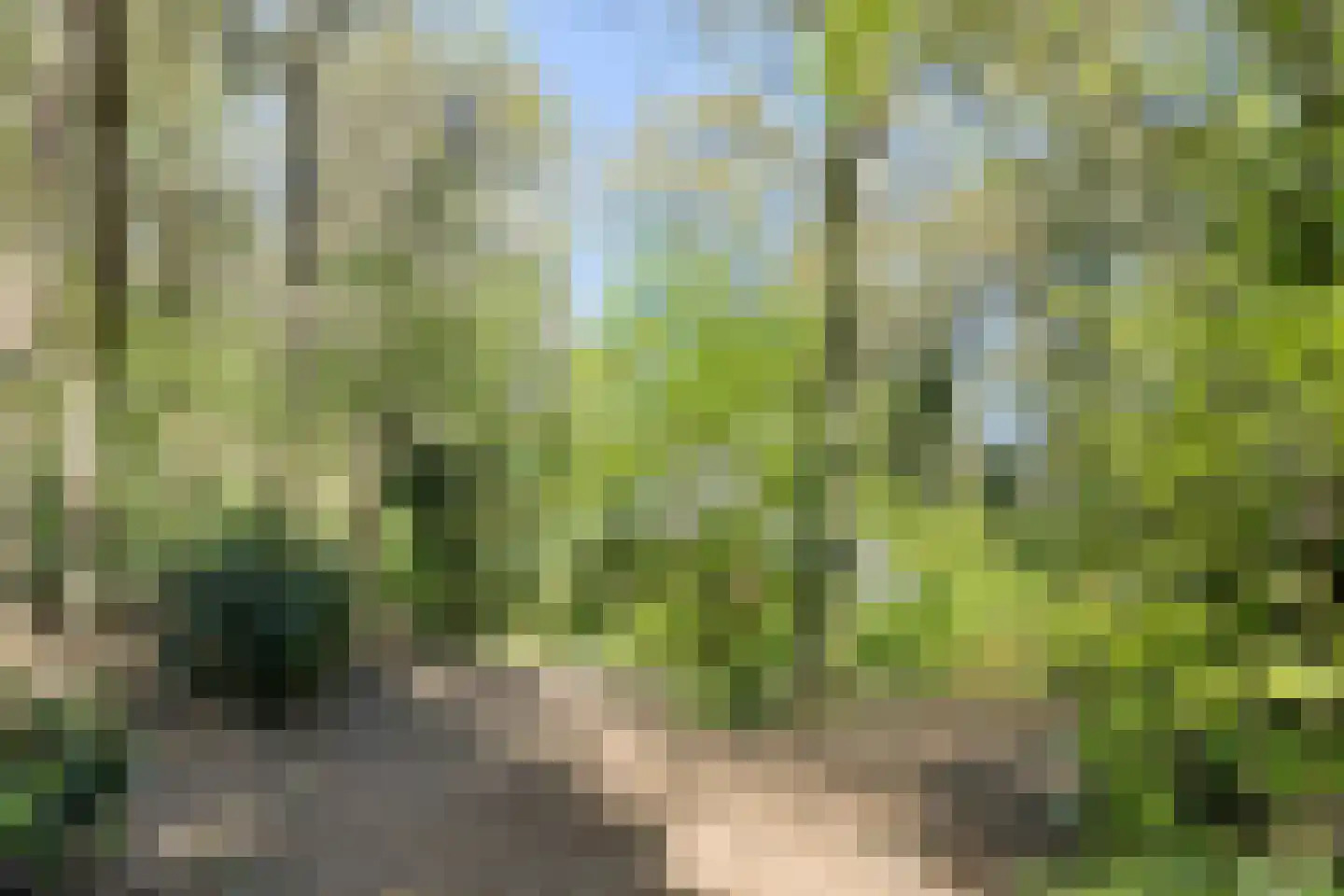 Peizerpad 16 Norg thumbnail 67