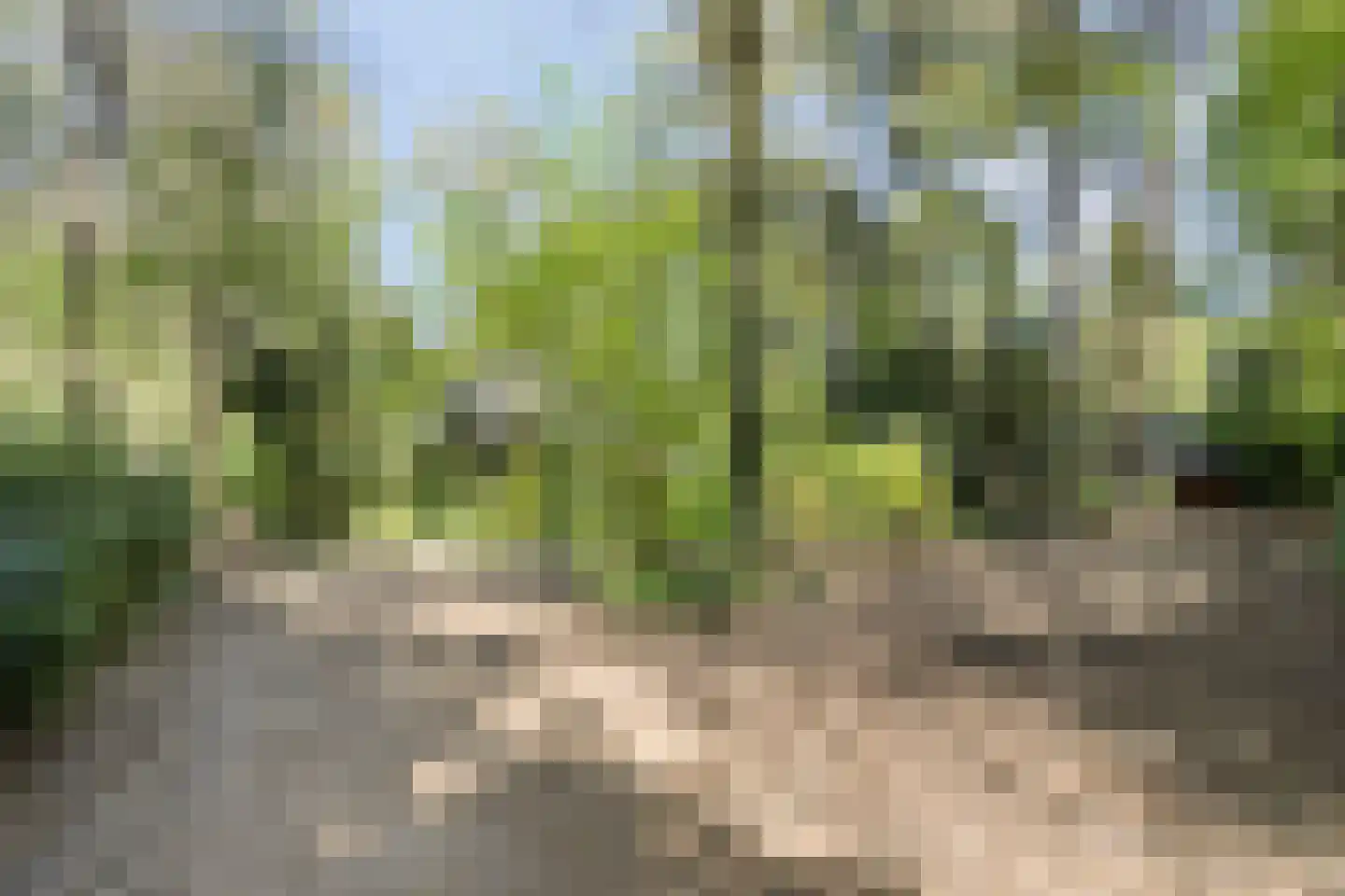 Peizerpad 16 Norg thumbnail 68