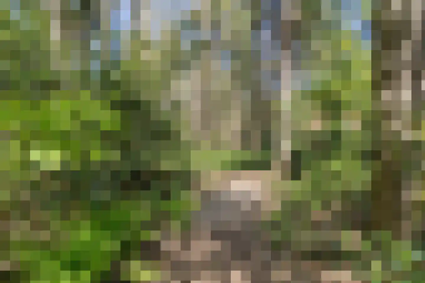 Peizerpad 16 Norg thumbnail 70