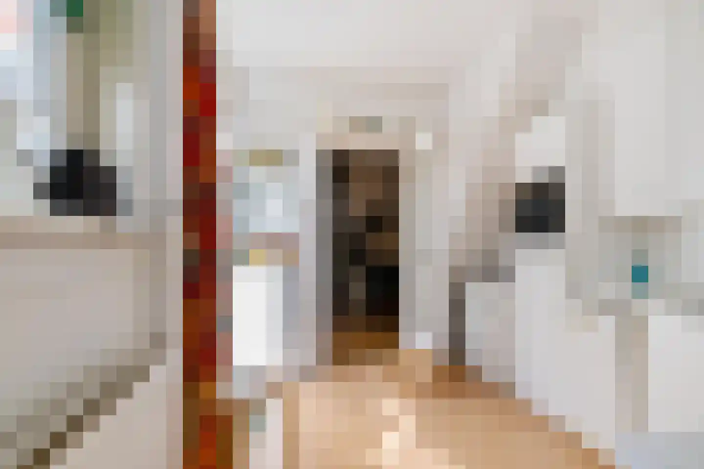 Peizerweg 14 Groningen thumbnail 26
